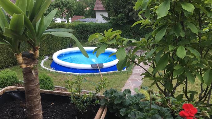 Bandurlaub